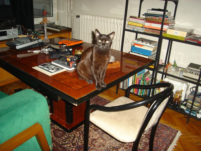 DSC02982.JPG