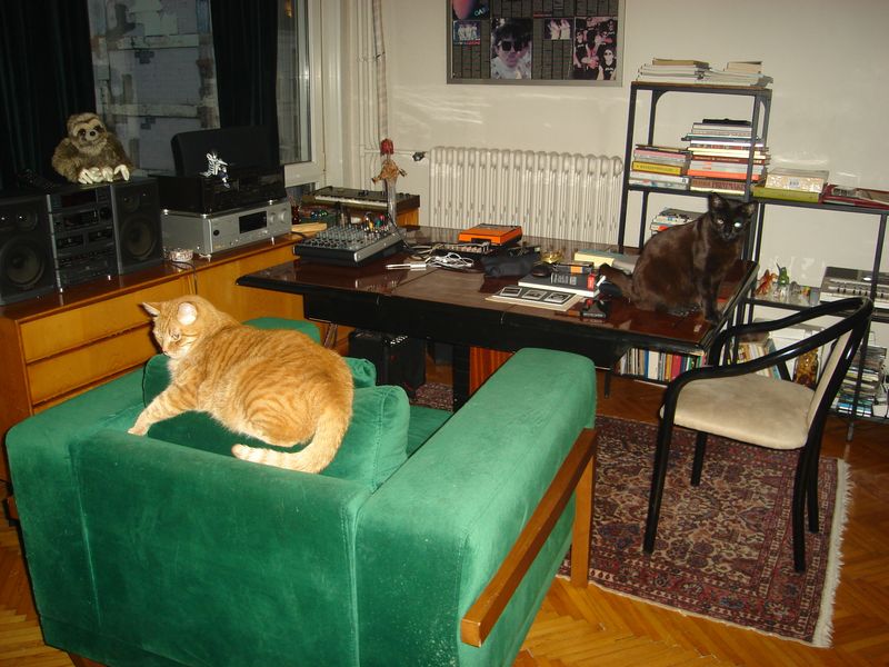 DSC02990.JPG