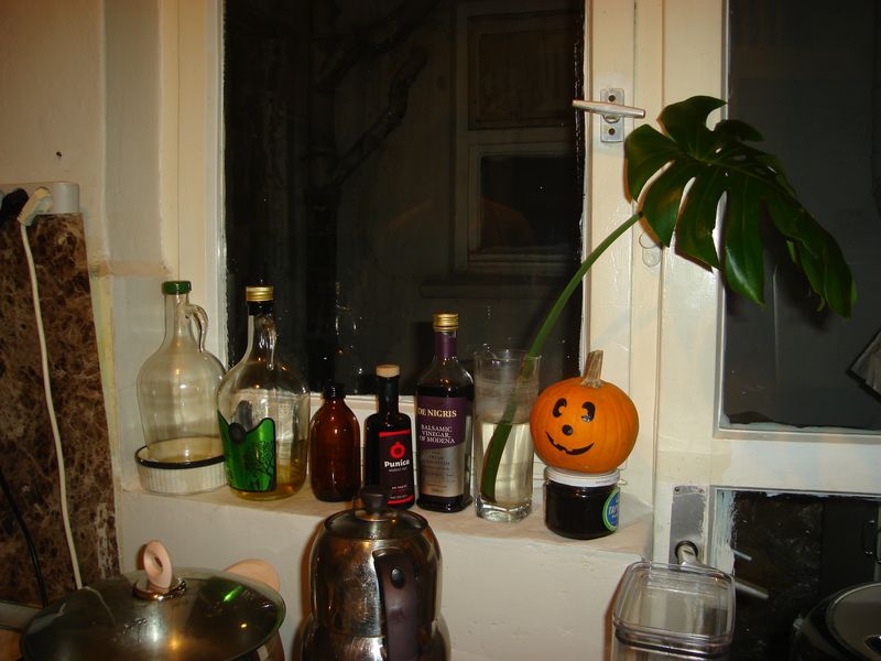 DSC02995.JPG