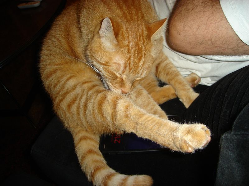 DSC03011.JPG