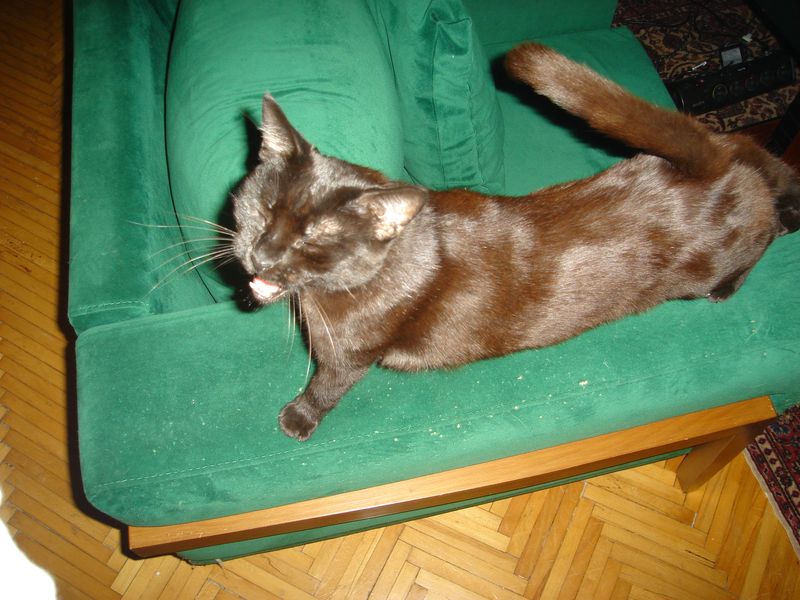 DSC03014.JPG