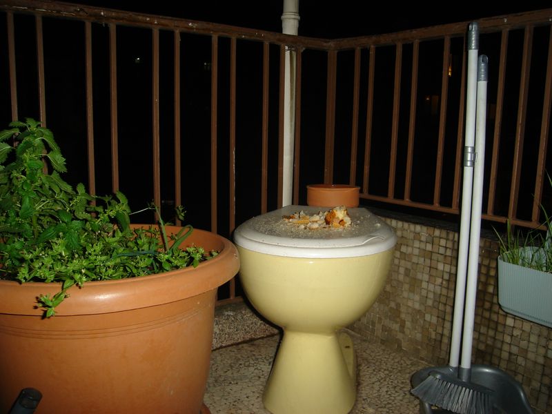 DSC03019.JPG