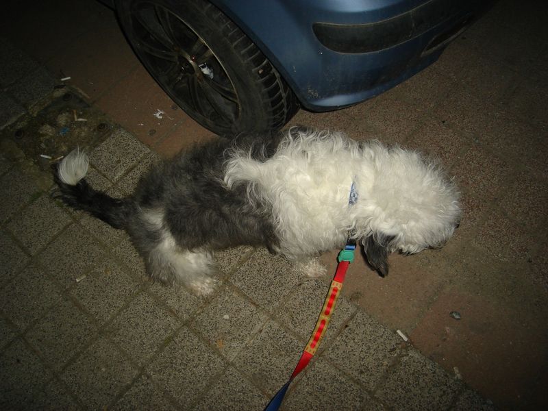 DSC03051.JPG