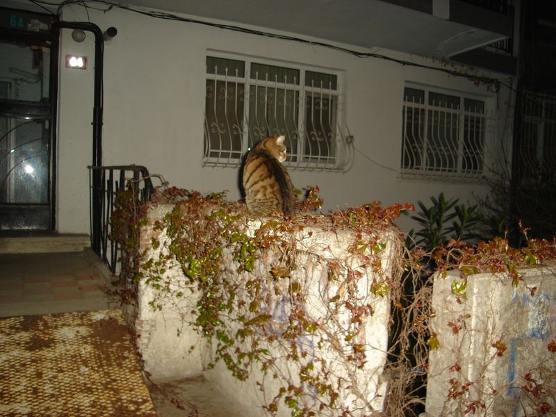 DSC03053.JPG