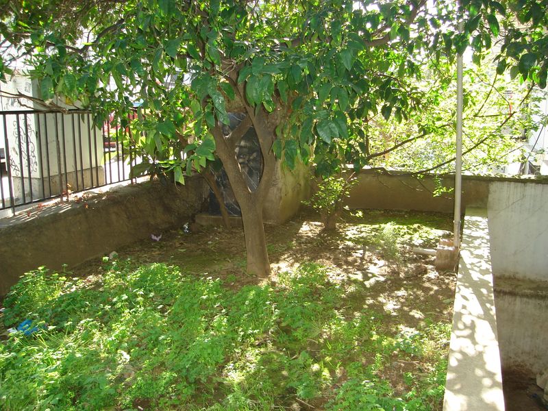 DSC03168.JPG
