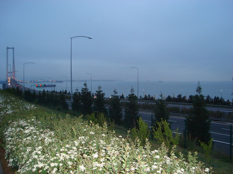 DSC03186.JPG