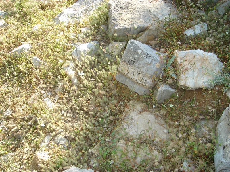 DSC03316.JPG