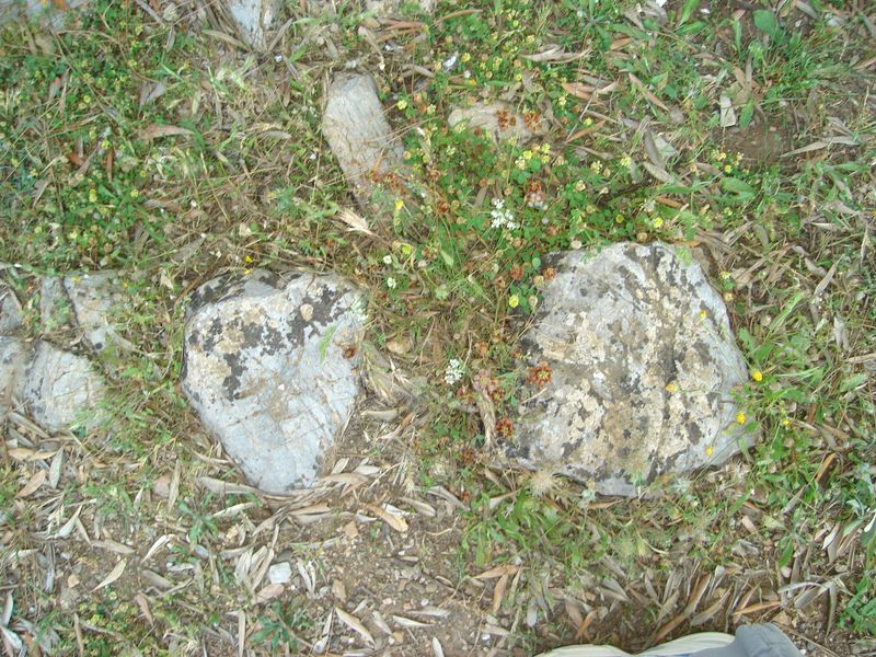DSC03332.JPG