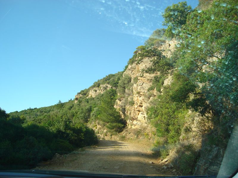 DSC03341.JPG
