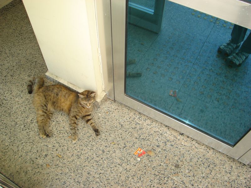 DSC03375.JPG