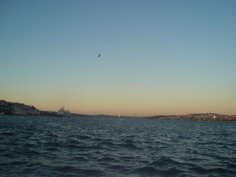 DSC03442.JPG