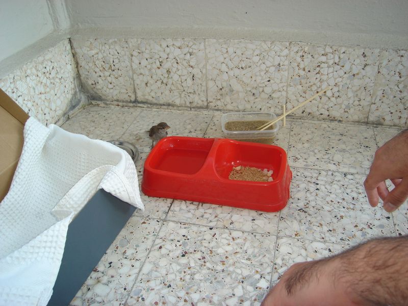 DSC03475.JPG