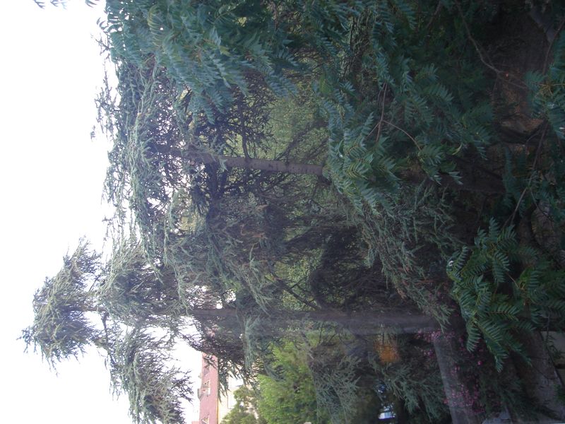 DSC03479.JPG