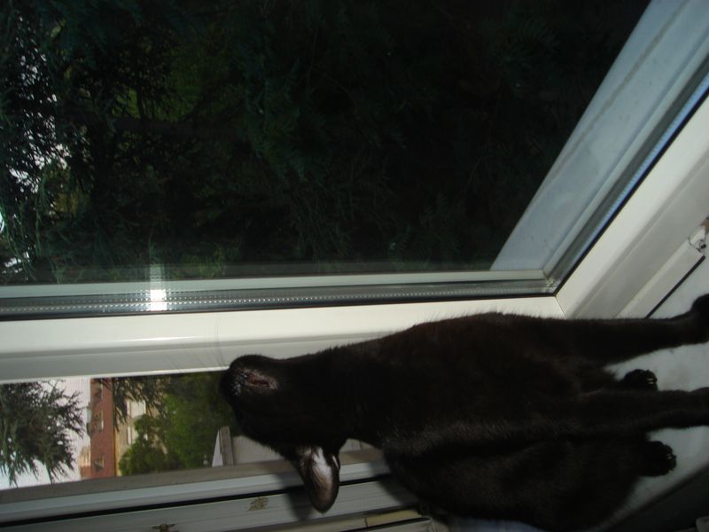 DSC03487.JPG