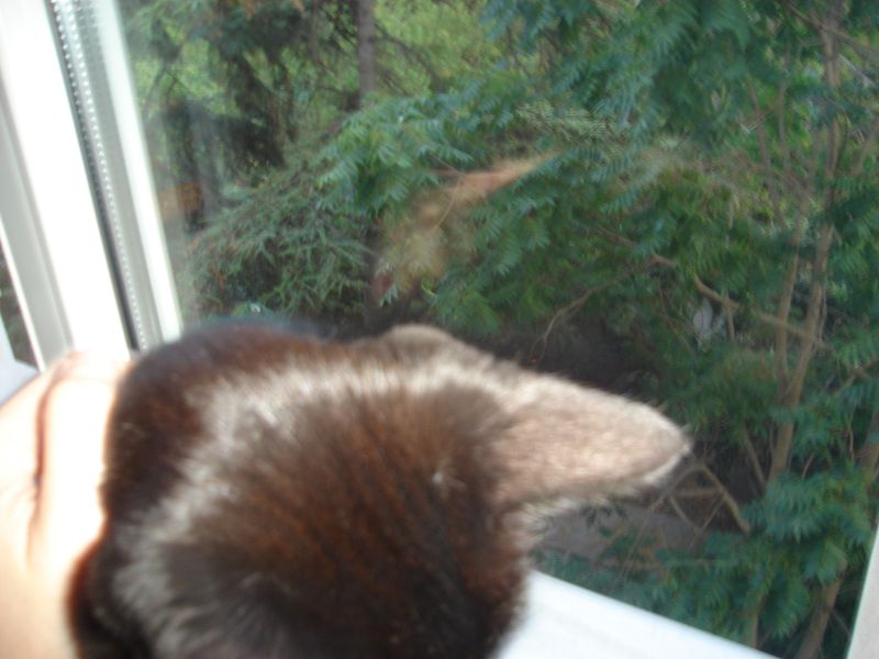 DSC03496.JPG