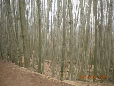 g13/29/8159329/3/175668892.38411e8a.JPEG