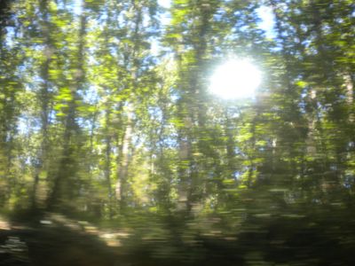 g13/29/8159329/3/175668980.5cf3e674.JPEG