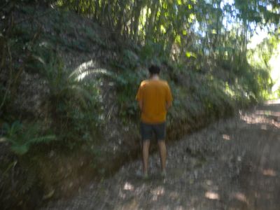g13/29/8159329/3/175668991.56b049f1.JPEG