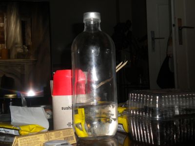 g13/29/8159329/3/175669051.bc6bae92.JPEG