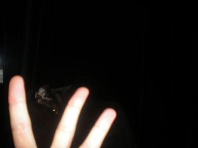 g13/29/8159329/3/175669072.ddcd7aad.JPEG