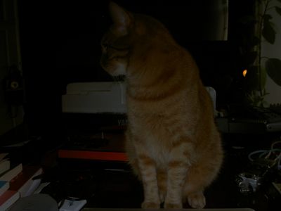 g13/29/8159329/3/175669302.414dda0d.JPEG