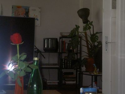 g13/29/8159329/3/175669314.9da1d793.JPEG