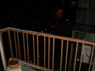 g13/29/8159329/3/175699036.d068ae99.JPEG
