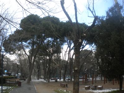 g13/29/8159329/3/175699049.6a0196eb.JPEG