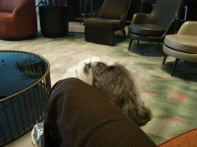 g13/29/8159329/3/175707620.2cc65a33.JPEG