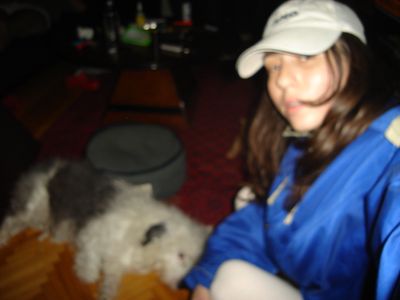 g13/29/8159329/3/175722423.b6800c1c.JPEG