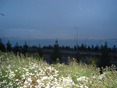 g13/29/8159329/3/175722469.81d18c7d.JPEG