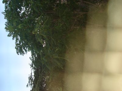 g13/29/8159329/3/175722543.e58d9eae.JPEG