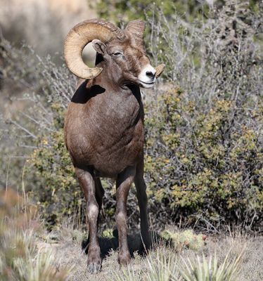 Recent Additions 2025