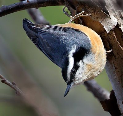 Recent Additions 2025