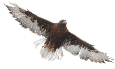 Recent Additions 2025