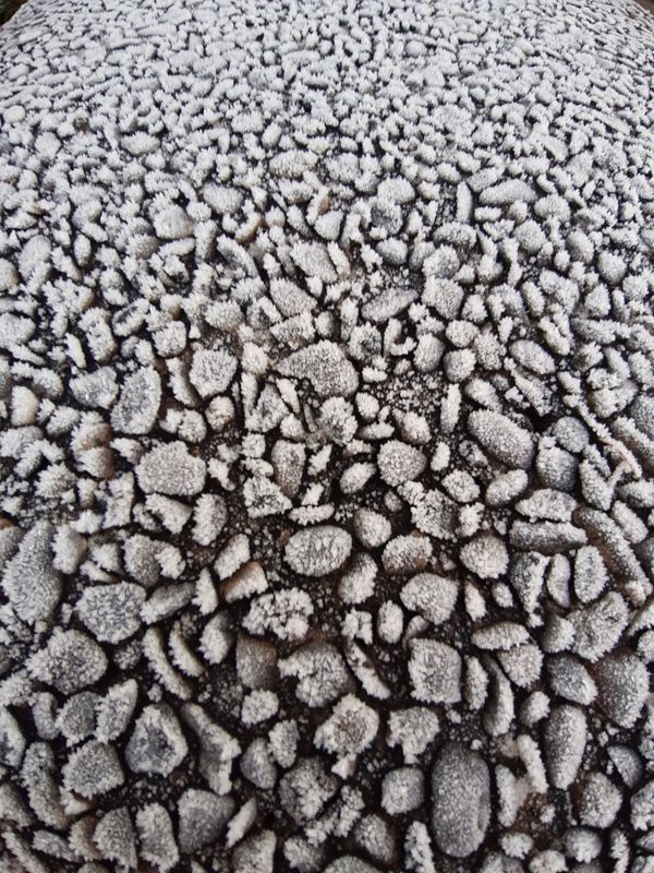 Frost on exposed aggregate concrete