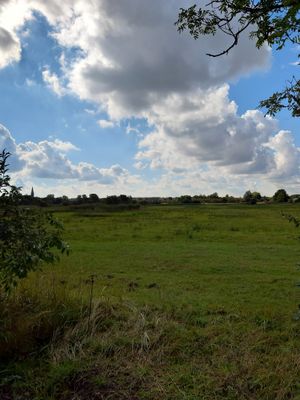 g13/29/946029/3/174592429.94ac3ef9.JPEG
