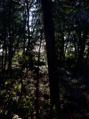 g13/29/946029/3/175024749.40676216.JPEG