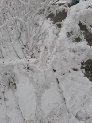 g13/29/946029/3/175206612.2420402e.JPEG