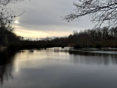 g13/29/946029/3/175209393.39d2da29.JPEG