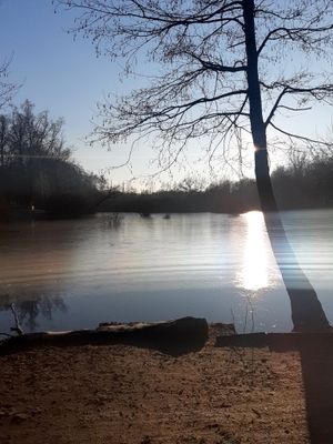 g13/29/946029/3/175212898.c09a3b32.JPEG