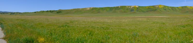 DSCF1053.JPG
