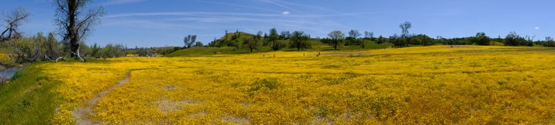 DSCF1077.JPG