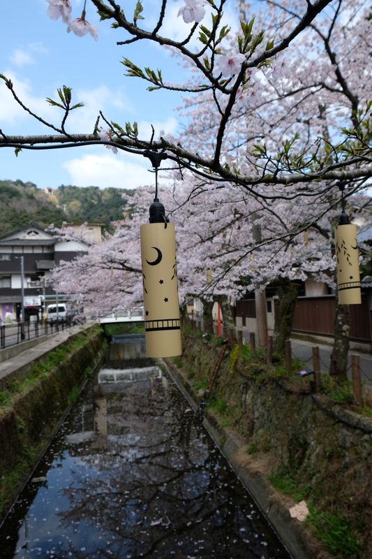 DSCF0519.JPG