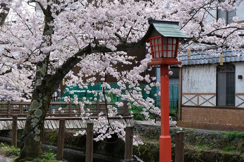 DSCF0527.JPG