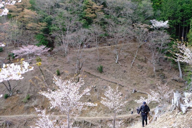 DSCF0927.JPG