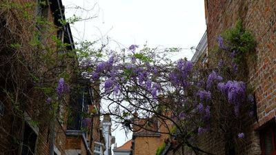 DSCF2627.JPG