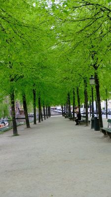 DSCF2652.JPG