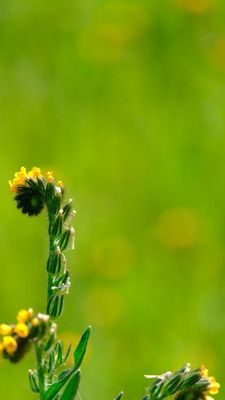 DSCF6387.JPG