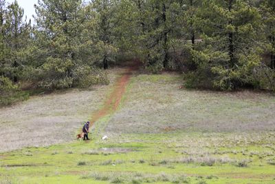 _MG_2412.JPG